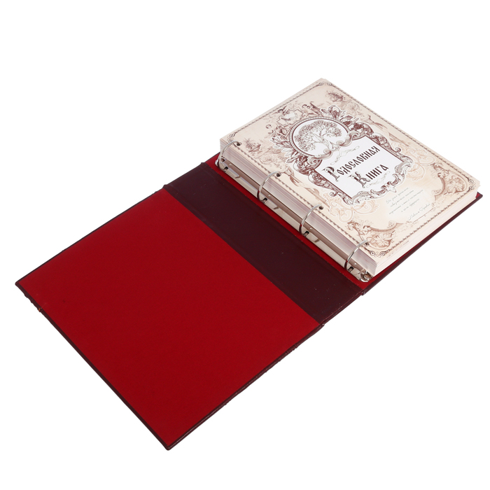 Родословная книга из натуральной кожи "Древо"