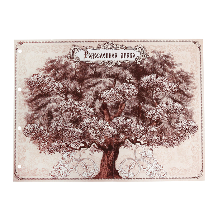 Родословная книга из натуральной кожи "Древо"