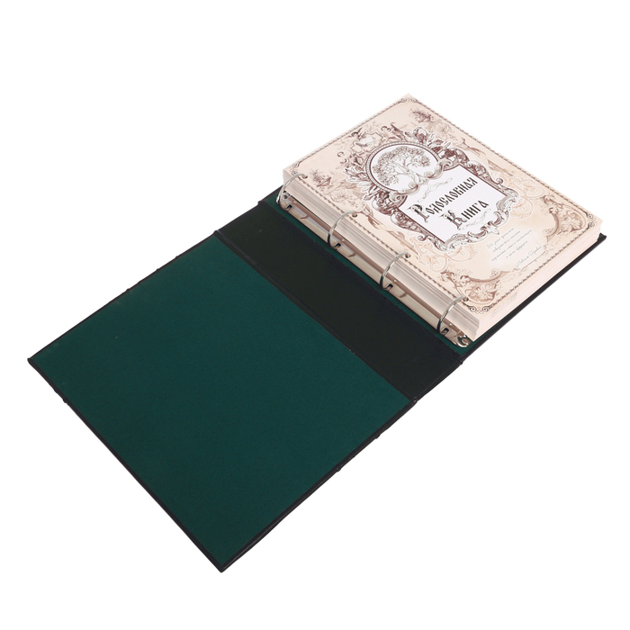 Родословная книга из натуральной кожи "Древо"