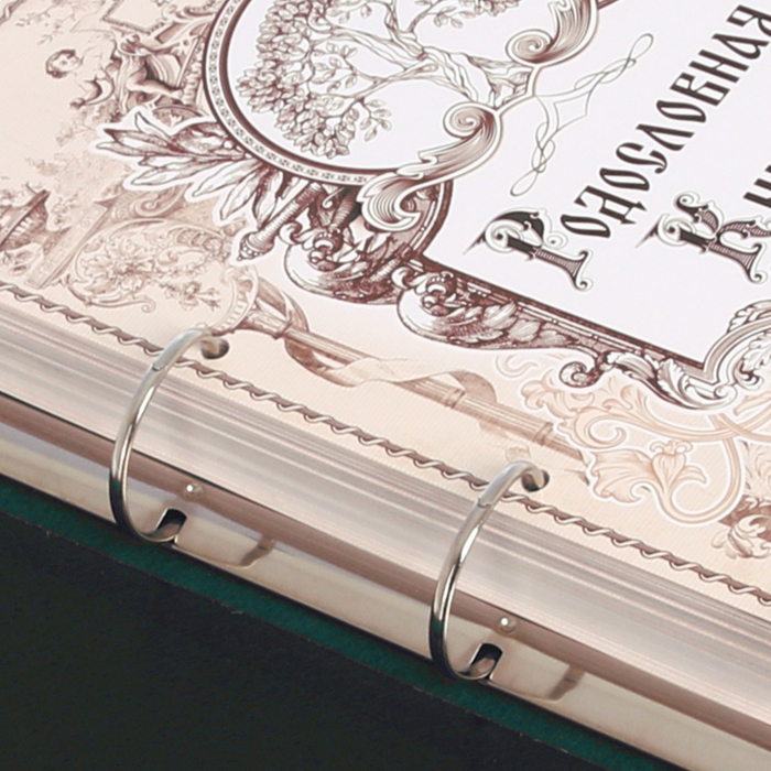 Родословная книга из натуральной кожи "Древо"