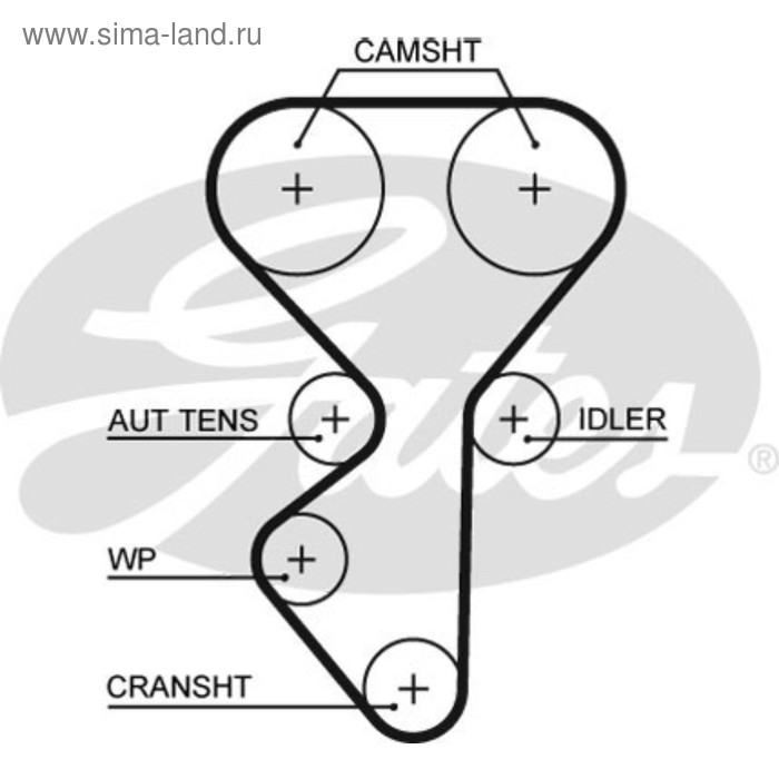 фото Ремень грм gates 5631xs