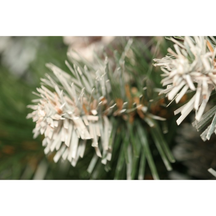 Ель Императорская заснеженная ИПС-135 , 135, Пленка ПВХ