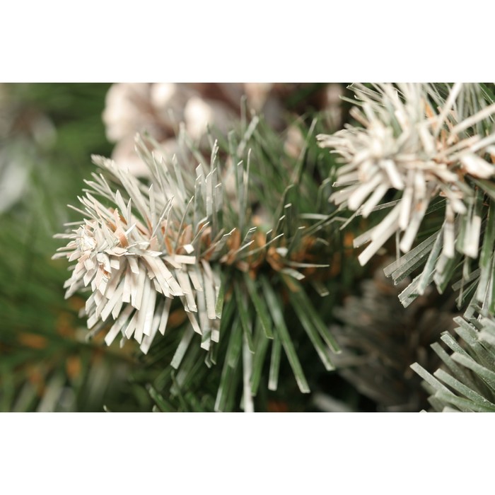 Ель Императорская заснеженная ИПС-155 , 155, Пленка ПВХ