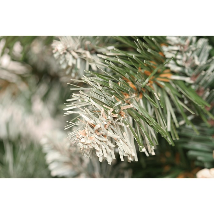 Ель Императорская заснеженная ИПС-155 , 155, Пленка ПВХ