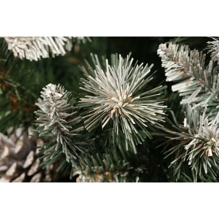 Ель Императорская заснеженная ИПС-155 , 155, Пленка ПВХ