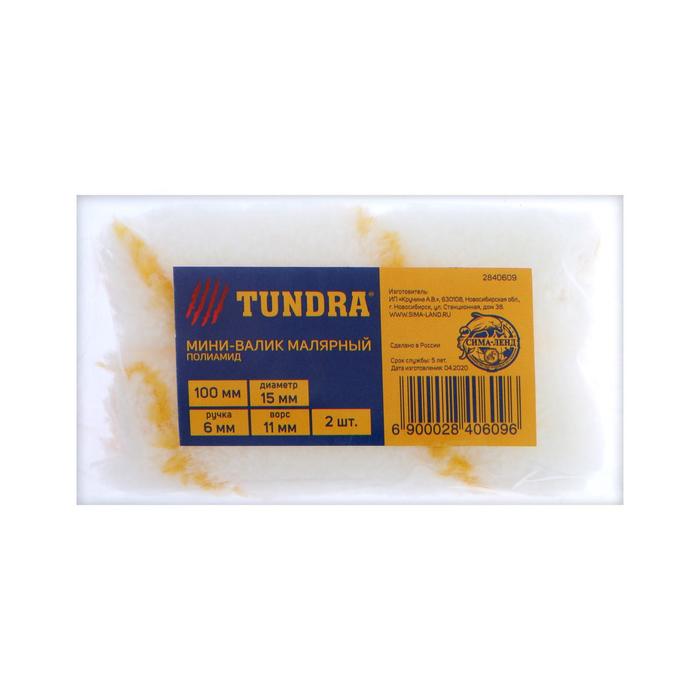 Мини-валик сменный TUNDRA, полиамид, 100 мм, ручка d=6 мм, D=15 мм, ворс 11 мм, 2 шт.