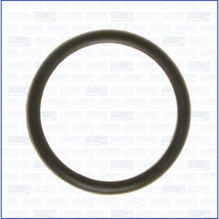 Прокладка термостата AJUSA 00538100