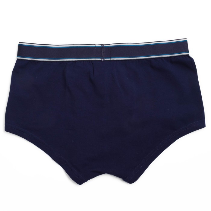 Трусы мужские боксеры LC0806 цвет тёмно-синий (bleu marine), р-р 50 (5)