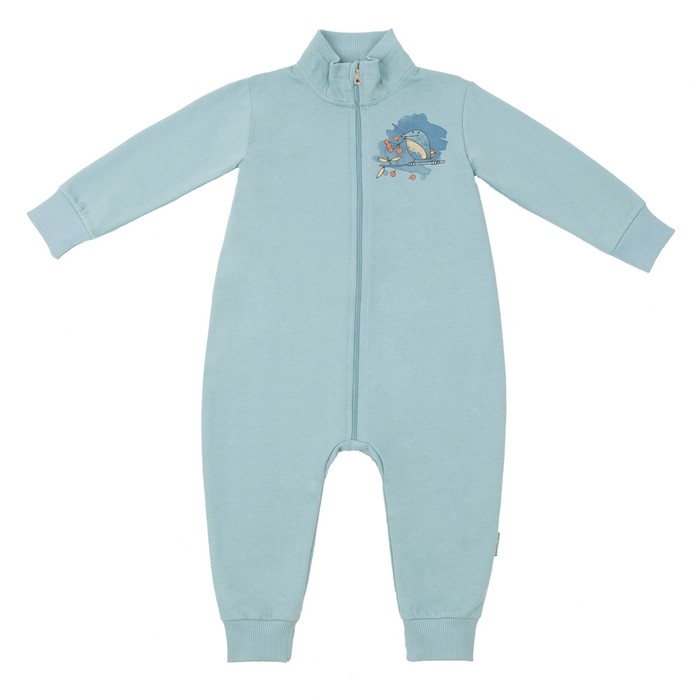 Комбинезон для мальчика, рост 62 см, цвет голубой 162-140-07