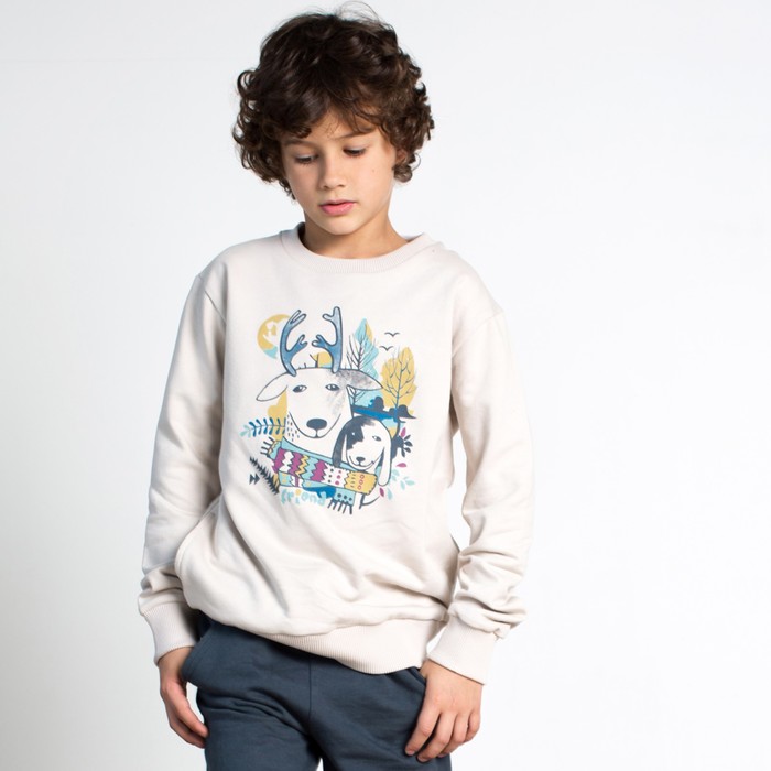 Джемпер для мальчика, рост 110 см, цвет серый 162-320-02