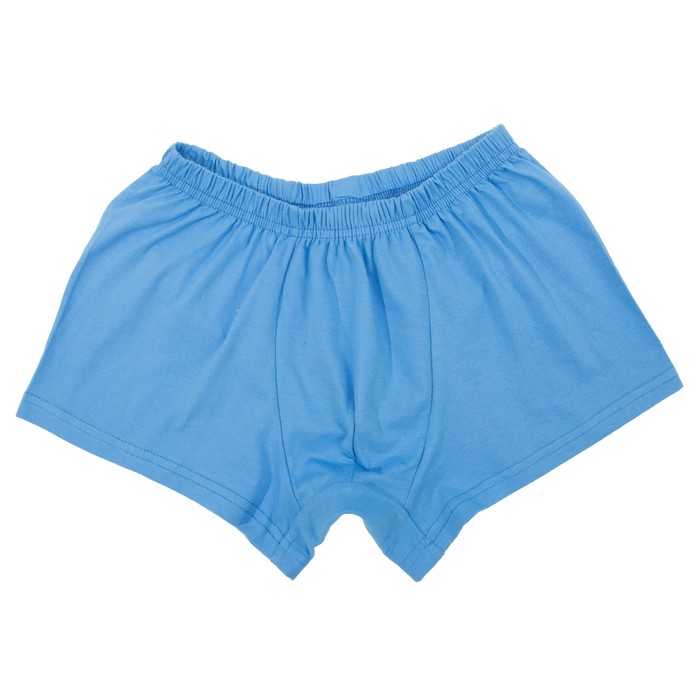 Трусы мужские боксеры SHM 1502 MC цвет васильковый, р-р 46