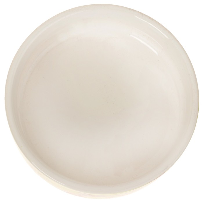 Миска керамическая "Лапки", 11,5 х 4,5 см, 250 мл, салатовая с розовым