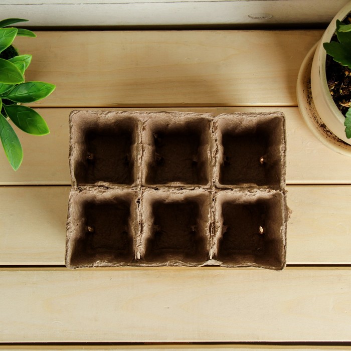 Бумажная кассета, 6 ячеек по 150 мл, набор 10 шт.