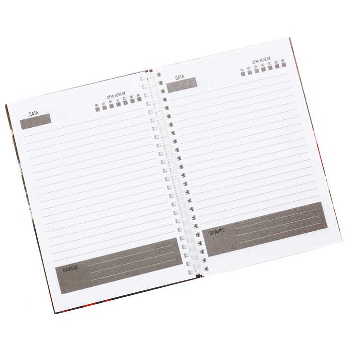 Ежедневник на гребне "Счастье там, где ты", А5, твёрдая обложка,80 листов