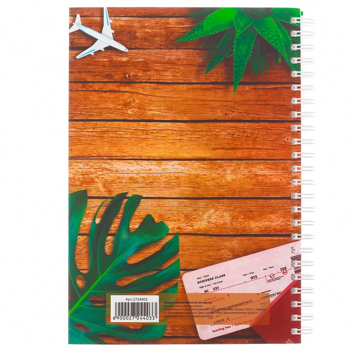 Ежедневник на гребне "Поверь в мечту", А5, твёрдая обложка,80 листов