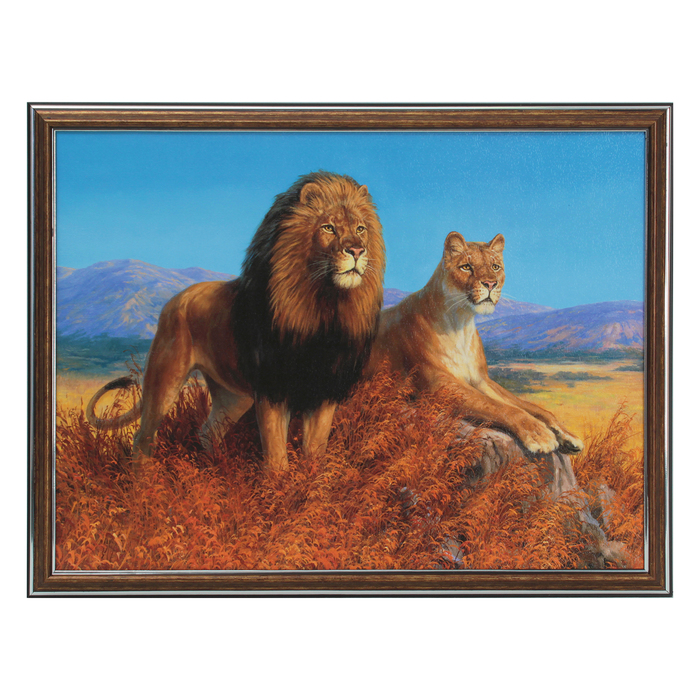 Картина "Львиная пара" 33*43 см