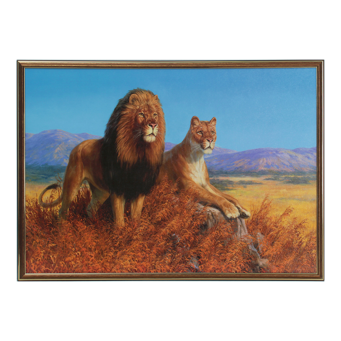 Картина "Львиная пара" 53*73 см