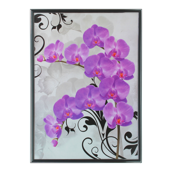 Картина "Фиолетовый фаленопсис" 53*73 см