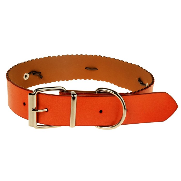 Ошейник с основой из термопластичной резины с фигурным краем и металлофурнитурой, 55 х 3 см 251436