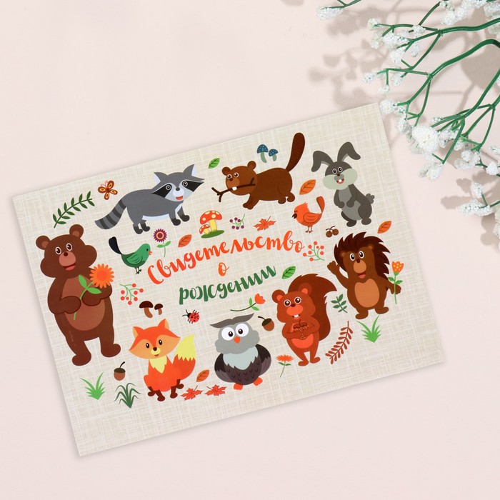 Папка для свидетельства о рождении "Лесные жители", А5, ламинированная