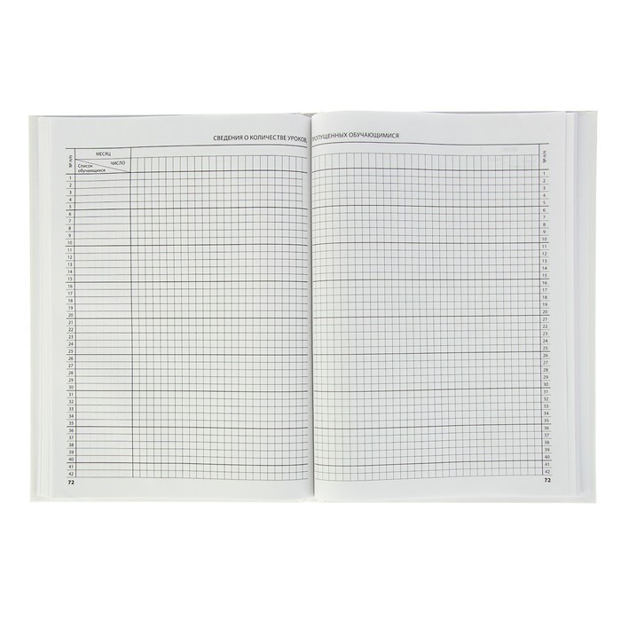 Классный журнал для 5-9 классов 88 листов Calligrata, 7БЦ