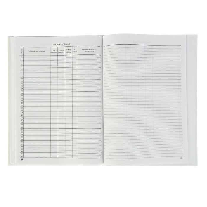 Классный журнал для 5-9 классов 88 листов Calligrata, 7БЦ