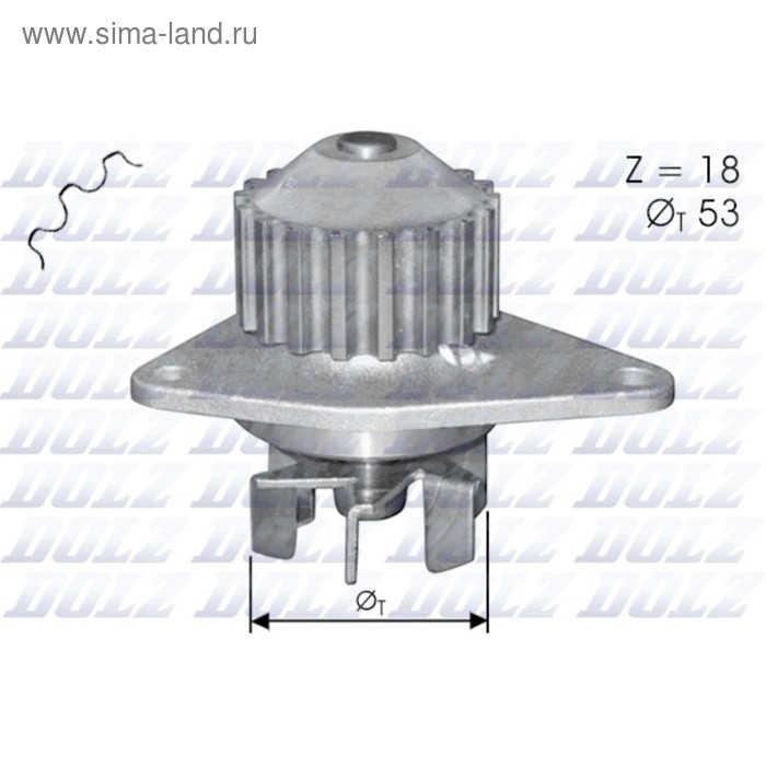 фото Насос водяной dolz c114