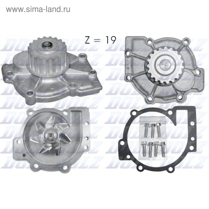 фото Насос водяной dolz r199