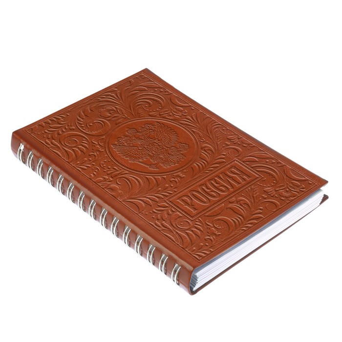 Ежедневник на скрытом гребне "Россия", экокожа, А5, 160 листов