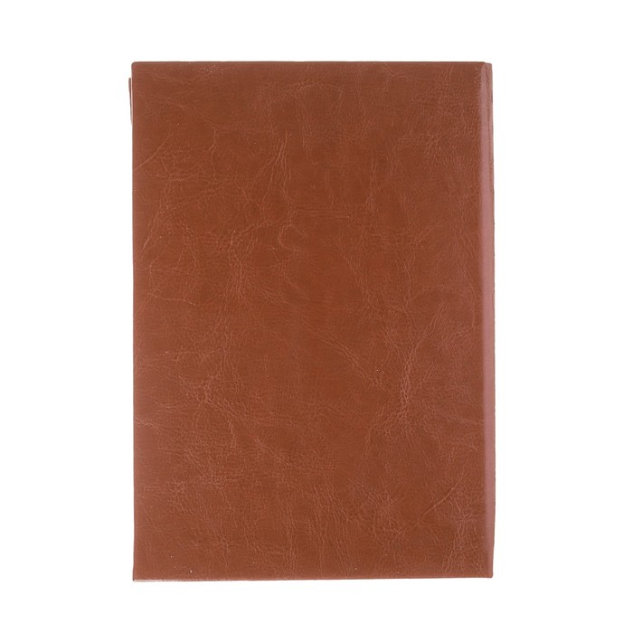 Ежедневник на скрытом гребне "Россия", экокожа, А5, 160 листов