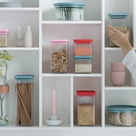 

Прямоугольный контейнер Brabantia Tasty Colours, цвет красный, 0.7 л