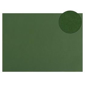 Картон цветной Sadipal Sirio двусторонний: текстурный/гладкий, 210 х 297 мм, Sadipal Fabriano Elle Erre, 220 г/м, зелёный Ош