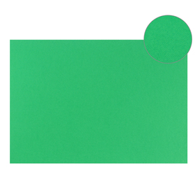 Картон цветной Sadipal Sirio двусторонний: текстурный/гладкий, 210 х 297 мм, Sadipal Fabriano Elle Erre, 220 г/м2, зелёный Ош
