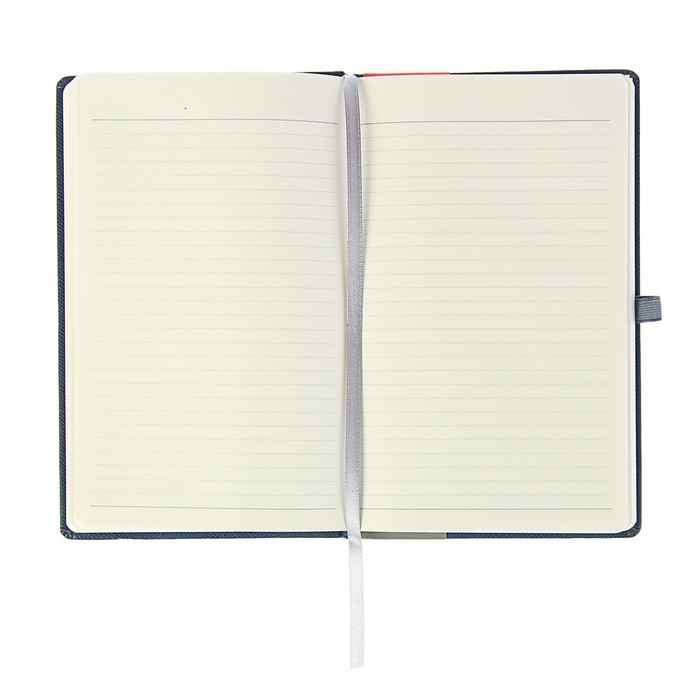 Записная книжка, твердая обложка, А5, 96 листов линейка Erich Krause SALAMANDRA, на резинке, синяя