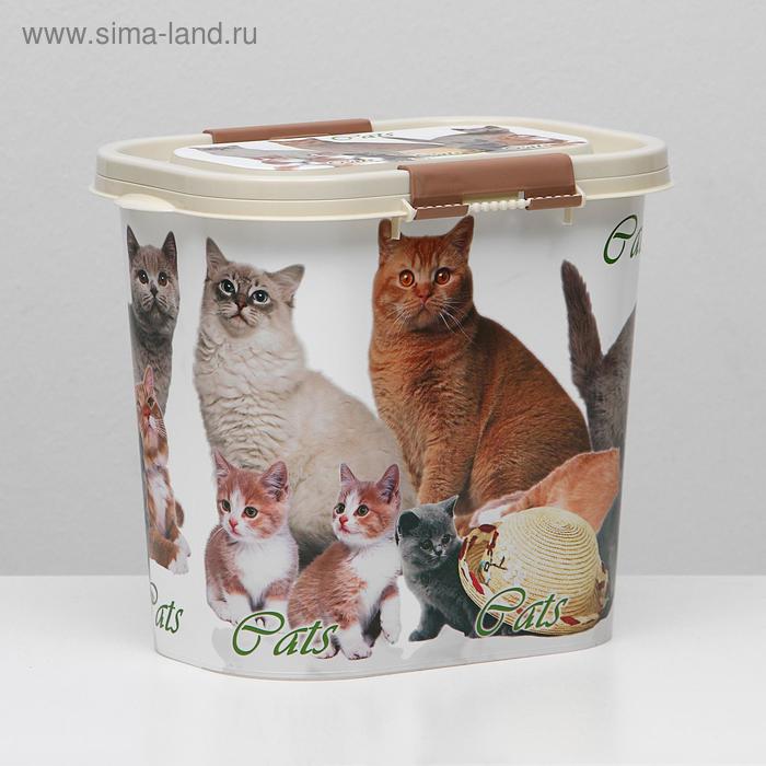 Контейнер Cats для корма, овальный, 10 л, микс цветов