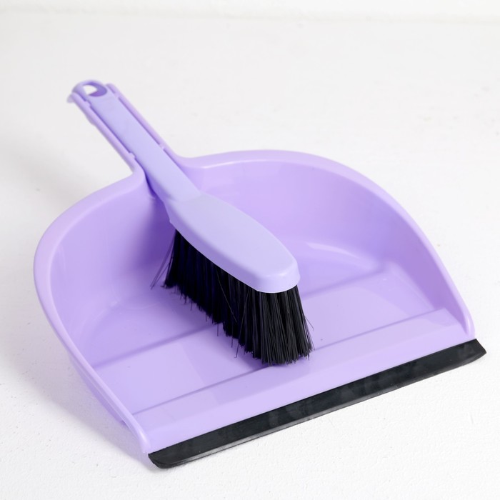 Щетка-сметка с совком"Фьюджи"