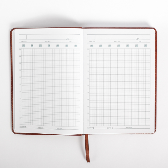 Ежедневник недатированный А5 120л кл,карта на форзаце,ляссе,обл пвх Винтаж МИКС