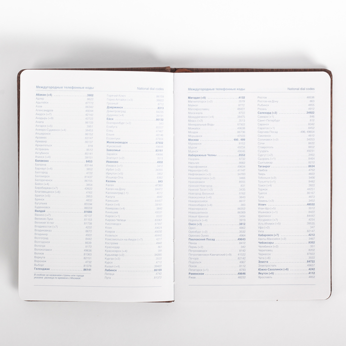 Ежедневник недатированный А5 120 листов, клетка, карта на форзаце, обложка пвх, Деловой МИКС