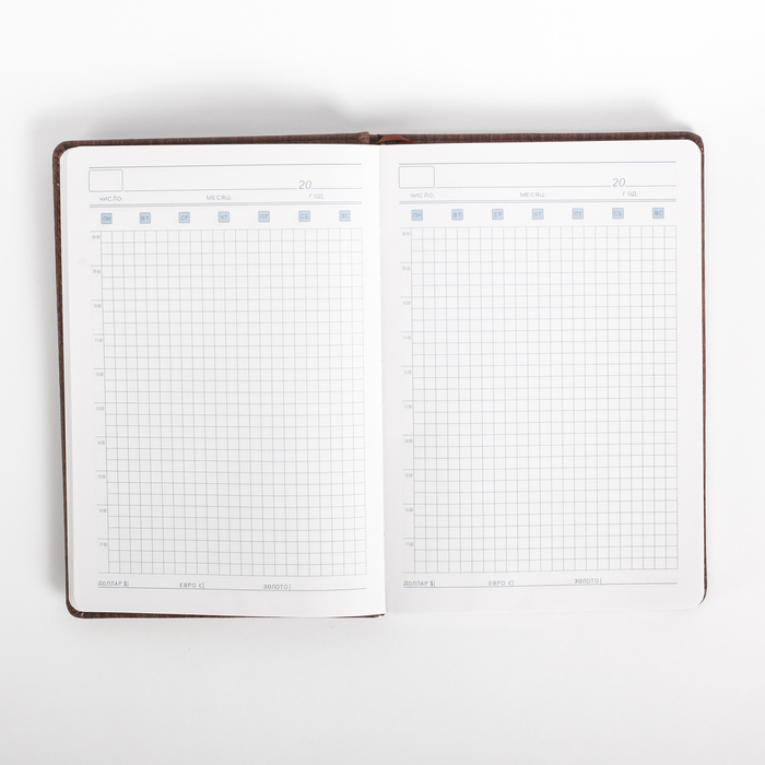 Ежедневник недатированный А5 120 листов, клетка, карта на форзаце, обложка пвх, Деловой МИКС