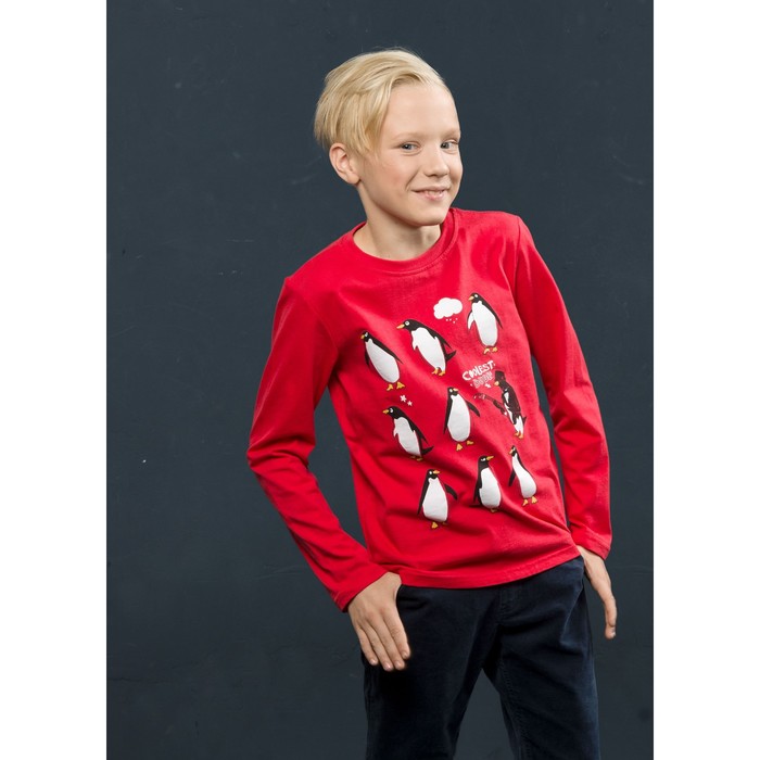 Джемпер для мальчика, рост 116 см, цвет малиновый