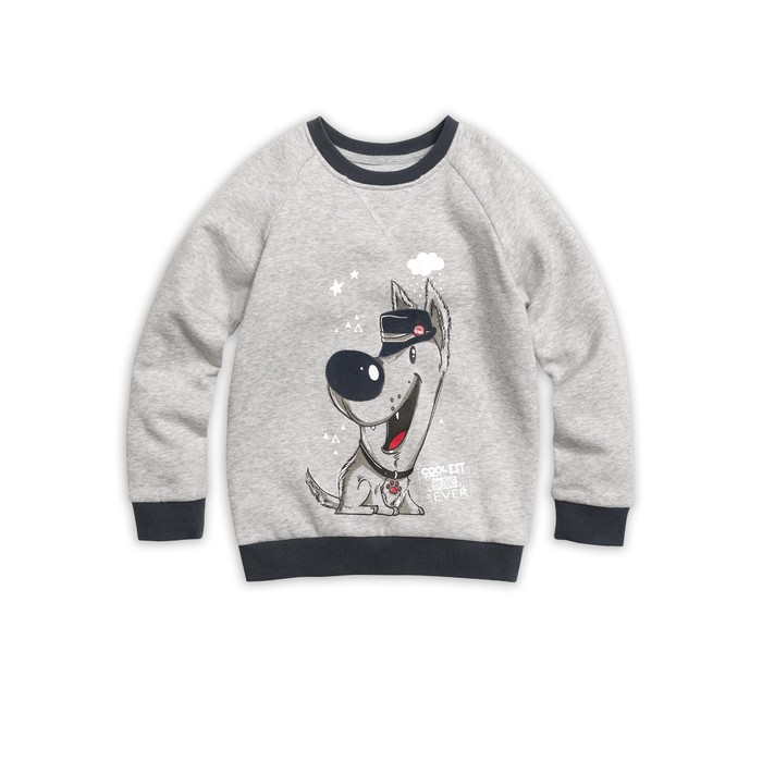 Толстовка для мальчика, рост 92 см, цвет серый