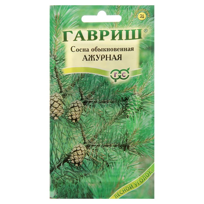 Семена Сосна обыкновенная "Ажурная", 0,2 г