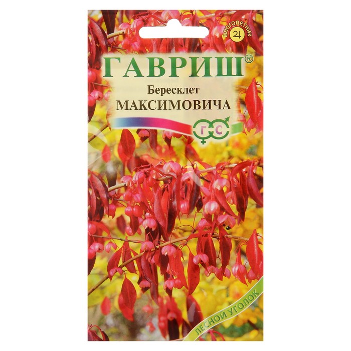 Семена Бересклет "Максимовича", Мн, 0,2 г