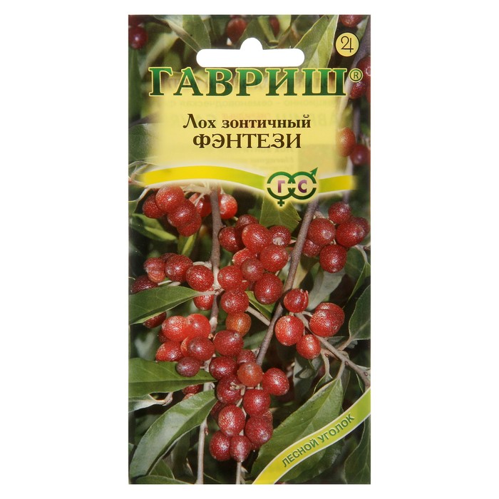 Семена Лох зонтичный "Фэнтези", Мн, 0,05 г