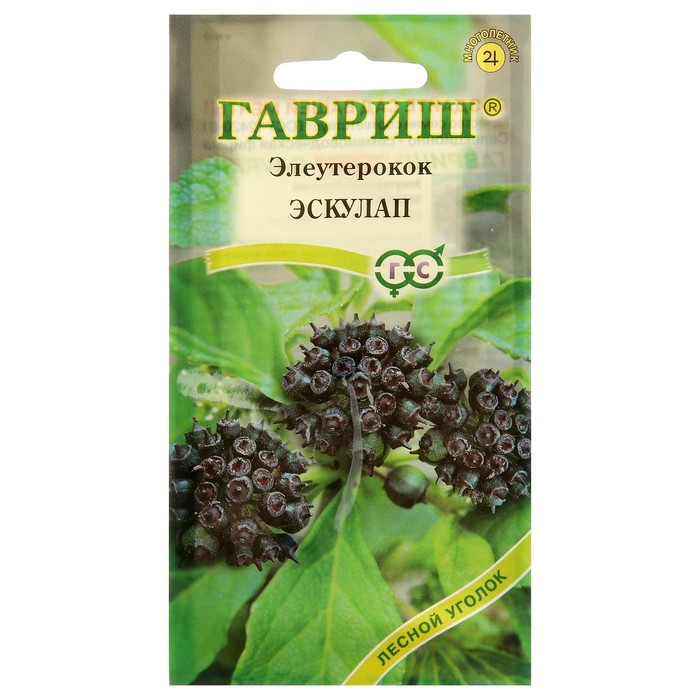 Семена Элеутерокок колючий "Эскулап", Мн, 3 шт.