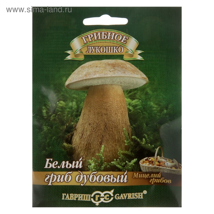 Семена Мицелий Белый гриб, дубовый на зерновом субстрате, 15 мл семена престиж семена мицелий гриба белый гриб дубовый