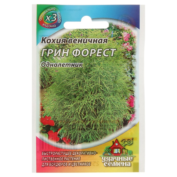 Семена цветов Кохия веничная Грин Форест, О, 0,2 г серия ХИТ х3