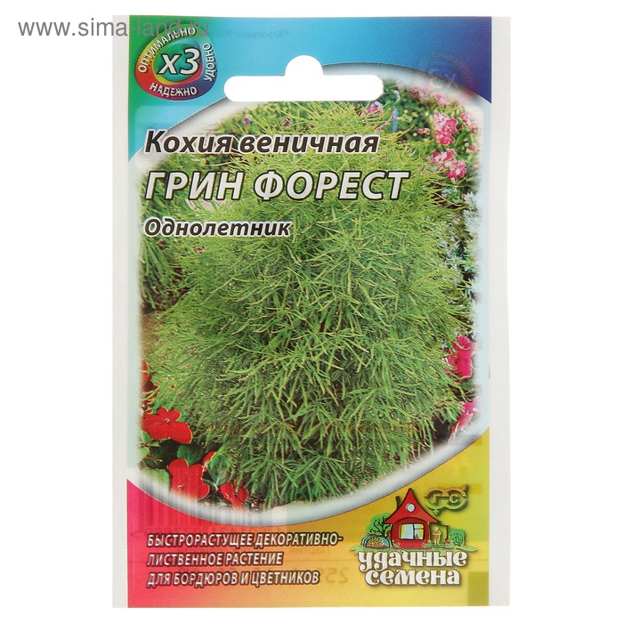 Семена цветов Кохия веничная Грин Форест, О, 0,2 г серия ХИТ х3