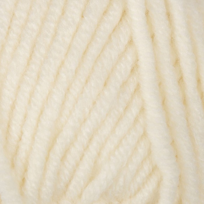 Пряжа "Lanagold plus" 49% шерсть, 51% акрил 140м/100гр (62 молочн)