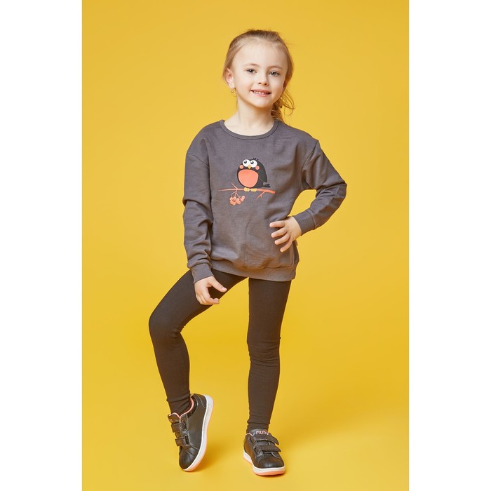 Свитшот для девочки "Снегирь", рост 98 см, цвет серый Fwg-20-1